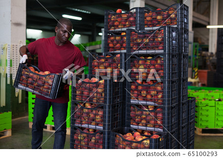Worker carrying peaches box at warehouse Worker carrying peaches box at warehouse 65100293