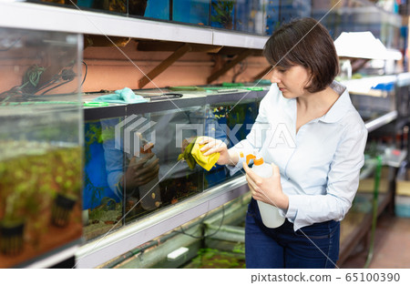 Woman washing glass of aquariums Woman washing glass of aquariums 65100390