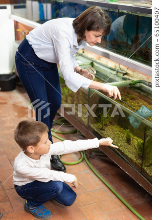 Saleswoman catching fish for boy 65100407