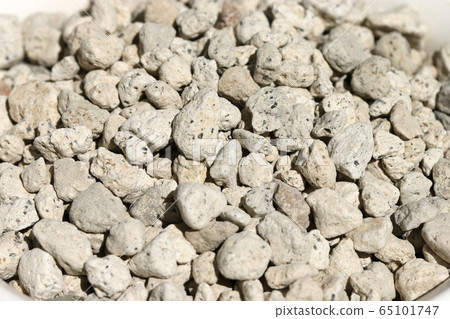 pumice 65101747