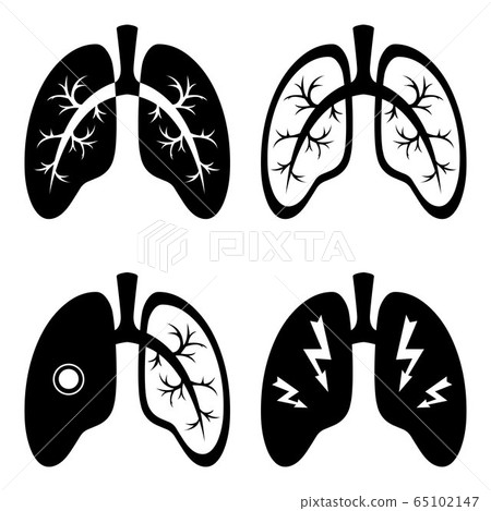 Vector image of the respiratory tract. Icons that can be used as a web design template. COVID-19 virus. Prevention of coronavirus. 65102147