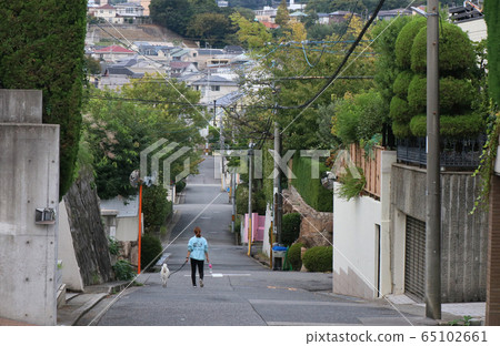 西宮市松岡市 西宮市松岡市 65102661