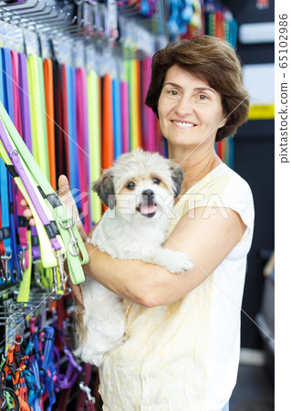 Adult woman in search of accessories for dog Adult woman in search of accessories for dog 65102986