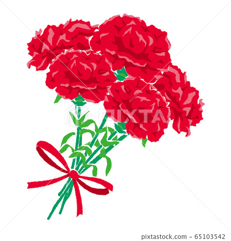 康乃馨花束的插圖 康乃馨花束的插圖 65103542