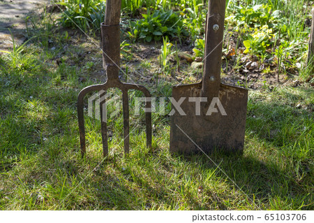 Garden forks and spade or shovel on a green lawn Garden forks and spade or shovel on a green lawn 65103706
