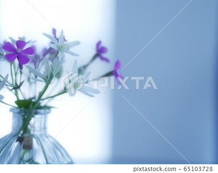 Ohnisogaram Ohnisogaram 65103728