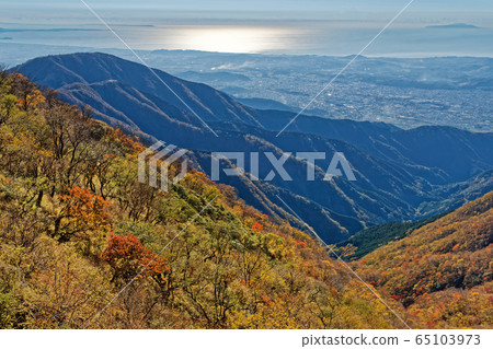 The glowing Shonan sea seen from the autumnal Tanzawa front ridge The glowing Shonan sea seen from the autumnal Tanzawa front ridge 65103973
