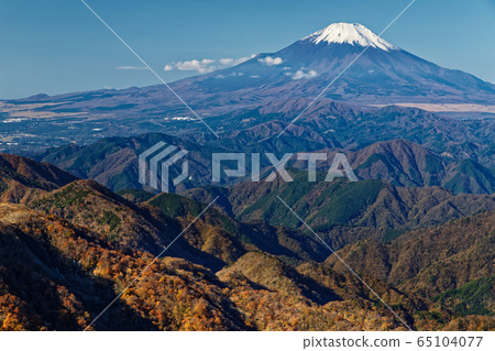 從丹澤/戶之岳看秋天的富士山和鍋山脊 65104077