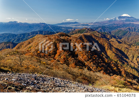 從丹澤/戶之岳看秋天的富士山和鍋山脊 從丹澤/戶之岳看秋天的富士山和鍋山脊 65104078