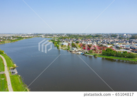 Aerial view of 2020 spring over Togo Town, Tatebayashi City, Gunma Prefecture 65104817