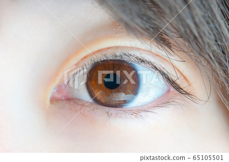 Clean and beautiful eyes, Japanese female eyes, macro image 65105501