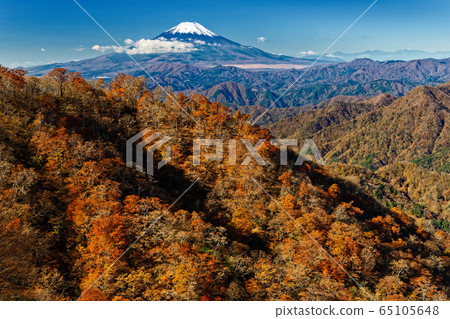 Mt. Fuji and Nabewari ridge of autumn colors seen from Tanzawa / Tonodake Mt. Fuji and Nabewari ridge of autumn colors seen from Tanzawa / Tonodake 65105648