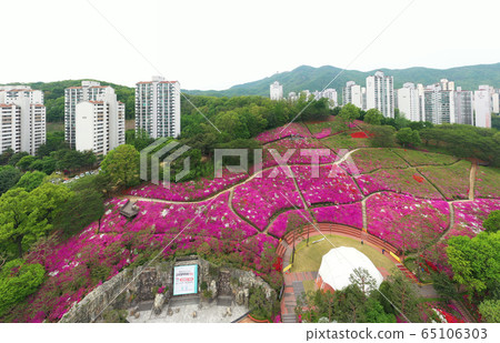 杜鵑花園 杜鵑花園 65106303