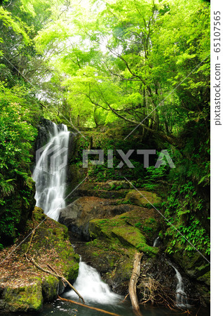 Maki waterfall 65107565