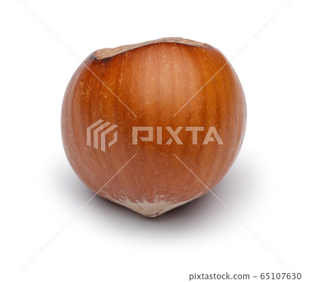 Fresh hazelnut isolated on white Fresh hazelnut isolated on white 65107630