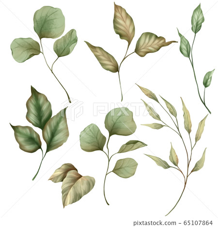 Set of green leaves. Isolated on white - Stock Illustration [65107864 ...