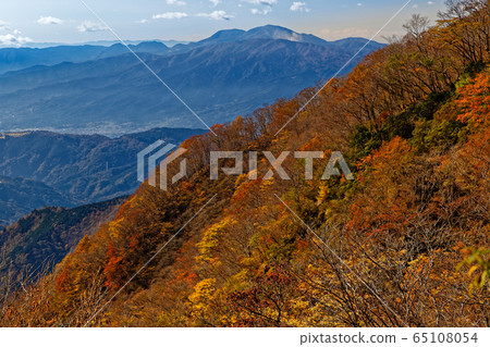 Autumn leaves of Tanzawa / Nabewari ridge and mountain range of Hakone 65108054