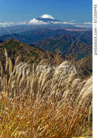 丹澤和鍋原山在深秋的富士山和富士山 65108448