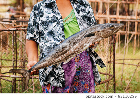 Whole Salted mackerels fish or Pla Insee Kem in fisherman hands 65110259