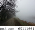 Fog 65111661