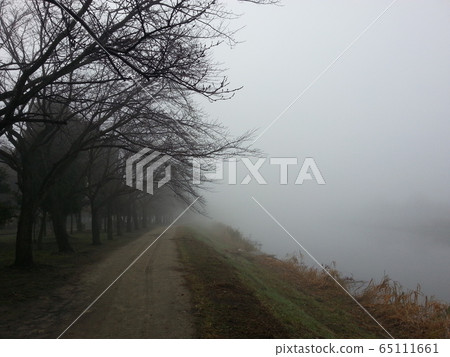霧 霧 65111661