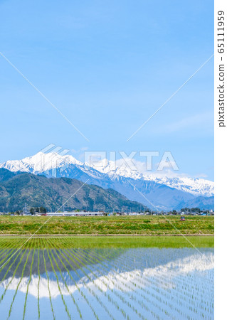 Azumino landscape (spring) 65111959
