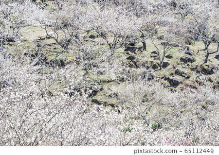 Mt. Tsukuba Bairin Mt. Tsukuba Bairin 65112449