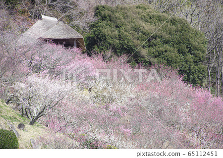 Mt. Tsukuba Bairin Mt. Tsukuba Bairin 65112451