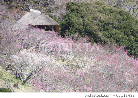 Mt. Tsukuba Bairin Mt. Tsukuba Bairin 65112452