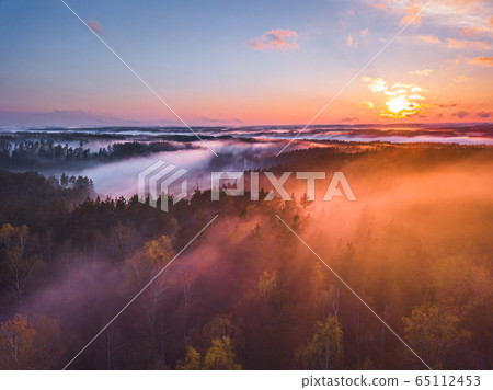 Fog and mist covering the forest in Lithuania Fog and mist covering the forest in Lithuania 65112453