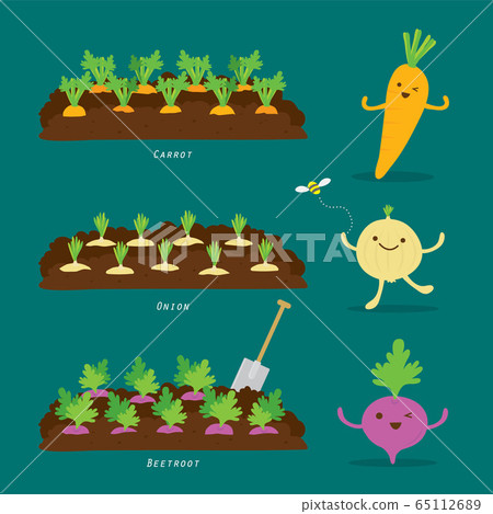 Set of Vegetable garden. Organic and healthy food Cartoon Vector illustration. Set of Vegetable garden. Organic and healthy food Cartoon Vector illustration. 65112689