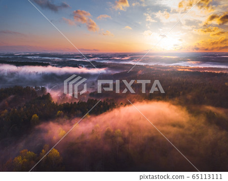 Fog and mist covering the forest in Lithuania Fog and mist covering the forest in Lithuania 65113111