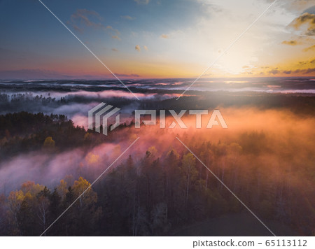 Fog and mist covering the forest in Lithuania Fog and mist covering the forest in Lithuania 65113112