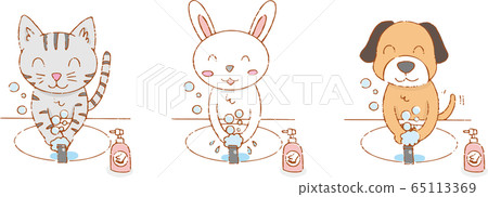 Lifestyle _ Hand wash / Cat, rabbit, dog Lifestyle _ Hand wash / Cat, rabbit, dog 65113369