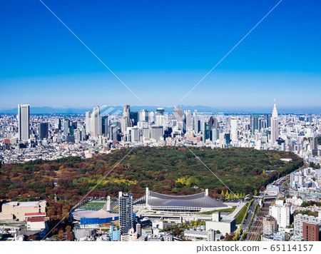 Tokyo Shinjuku Fukutoshin and Meiji Shrine 65114157