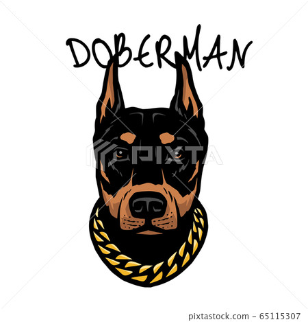 Doberman S Head With A Chain On His Neck Stock Illustration 65115307 Pixta