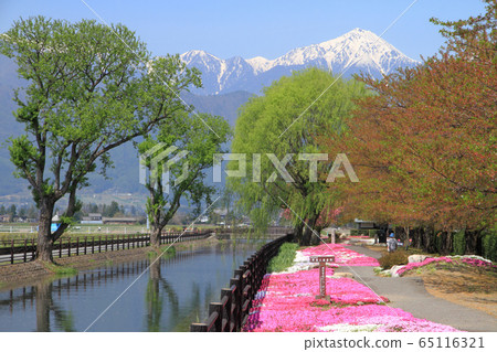 Azumino's May Toga Azumino's May Toga 65116321