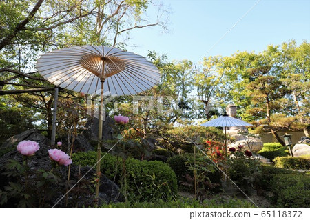 Flower Temple Toma Toki 65118372