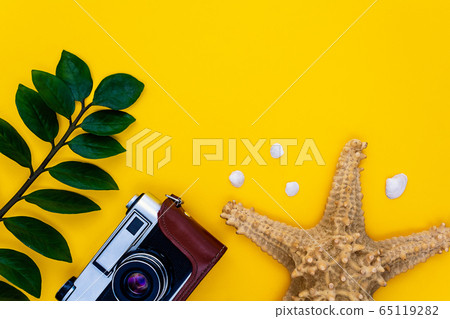 Summer travel and holiday concept. Flat lay. Summer travel and holiday concept. Flat lay. 65119282