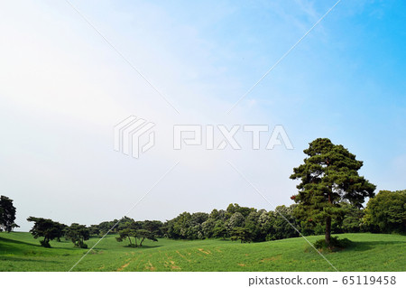 Goyang Seooreung Park Goyang Seooreung Park 65119458