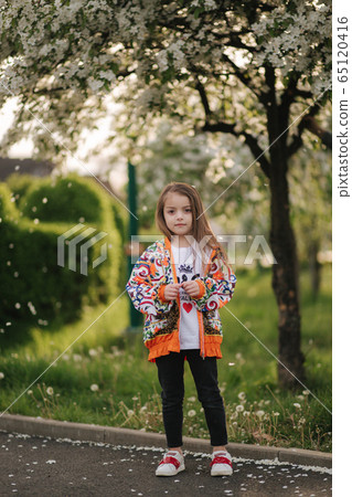 Cute little girl stand in front of flowering tree. Petals blows away like snow. Beautiful white blooming tree 65120416