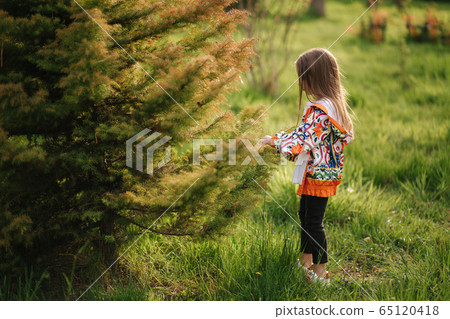 Side of little girl stand by big pine tree 65120418