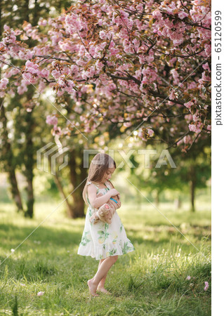 Little girl walking on the grass barefoot by the pink tree sakura in the park. Kid hug teddy bear Little girl walking on the grass barefoot by the pink tree sakura in the park. Kid hug teddy bear 65120599