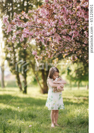 Little girl walking on the grass barefoot by the pink tree sakura in the park. Kid hug teddy bear 65120601