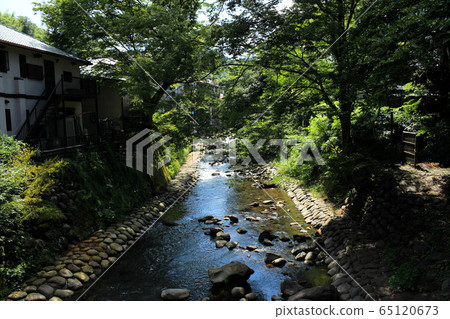Shuzenji River in summer Shuzenji River in summer 65120673