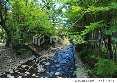 Shuzenji River in summer Shuzenji River in summer 65120684