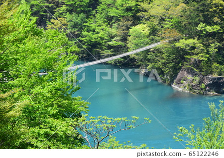 Dream suspension bridge 1 Dream suspension bridge 1 65122246