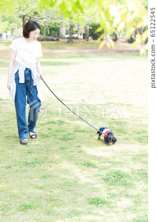 Dog walk woman Dog walk woman 65122545