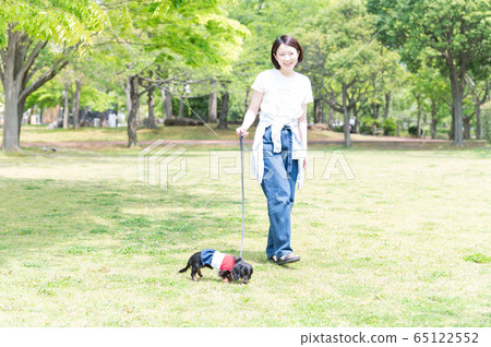 Dog walk woman 65122552