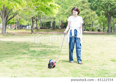 Dog walk woman Dog walk woman 65122554